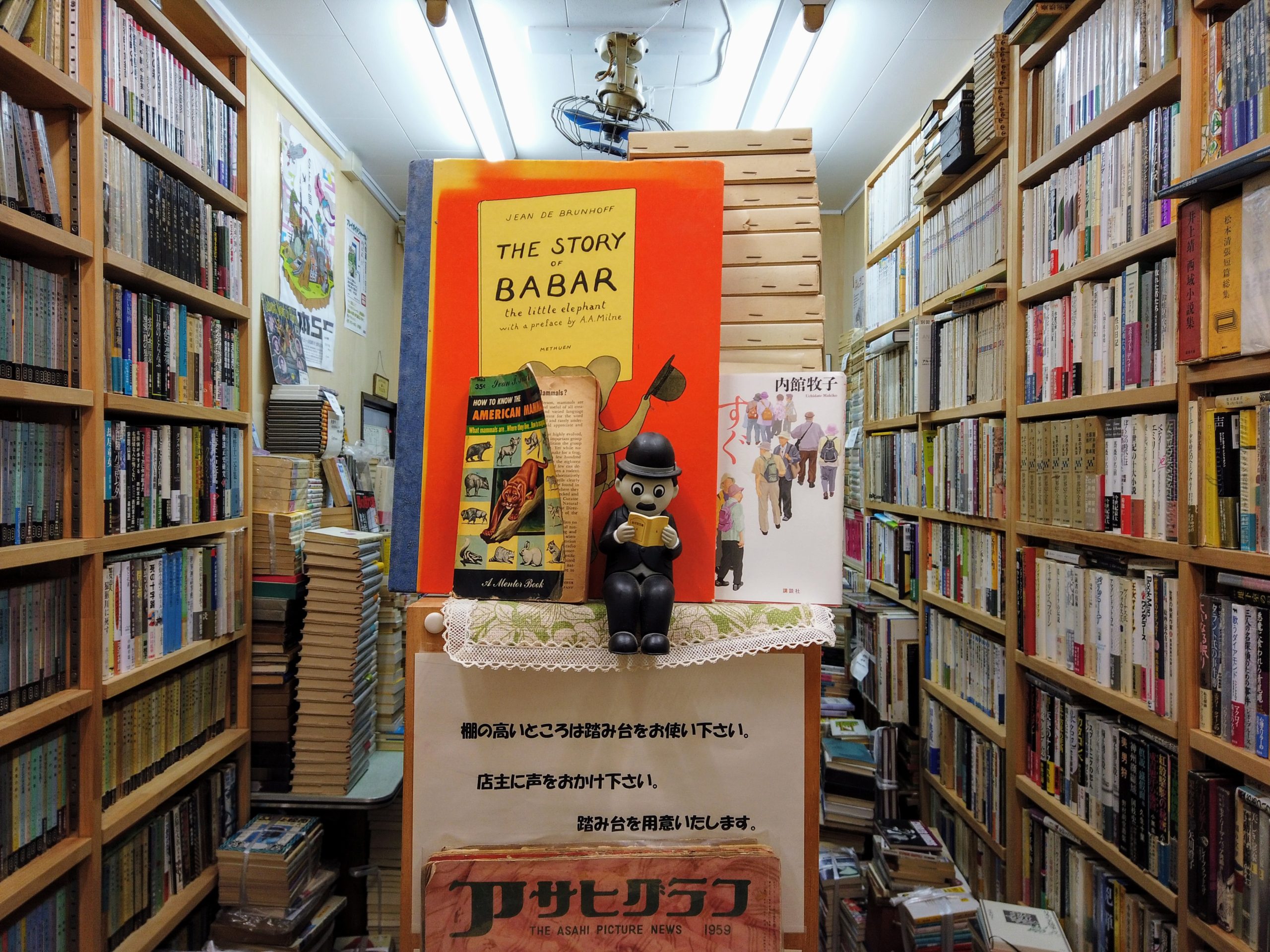 うみねこ堂書林 店内